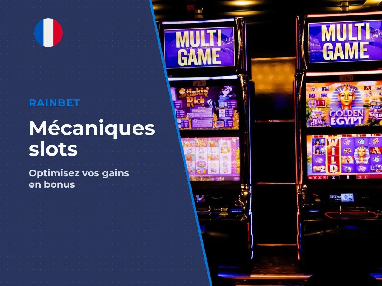 2. Comportement des multiplier wilds observer