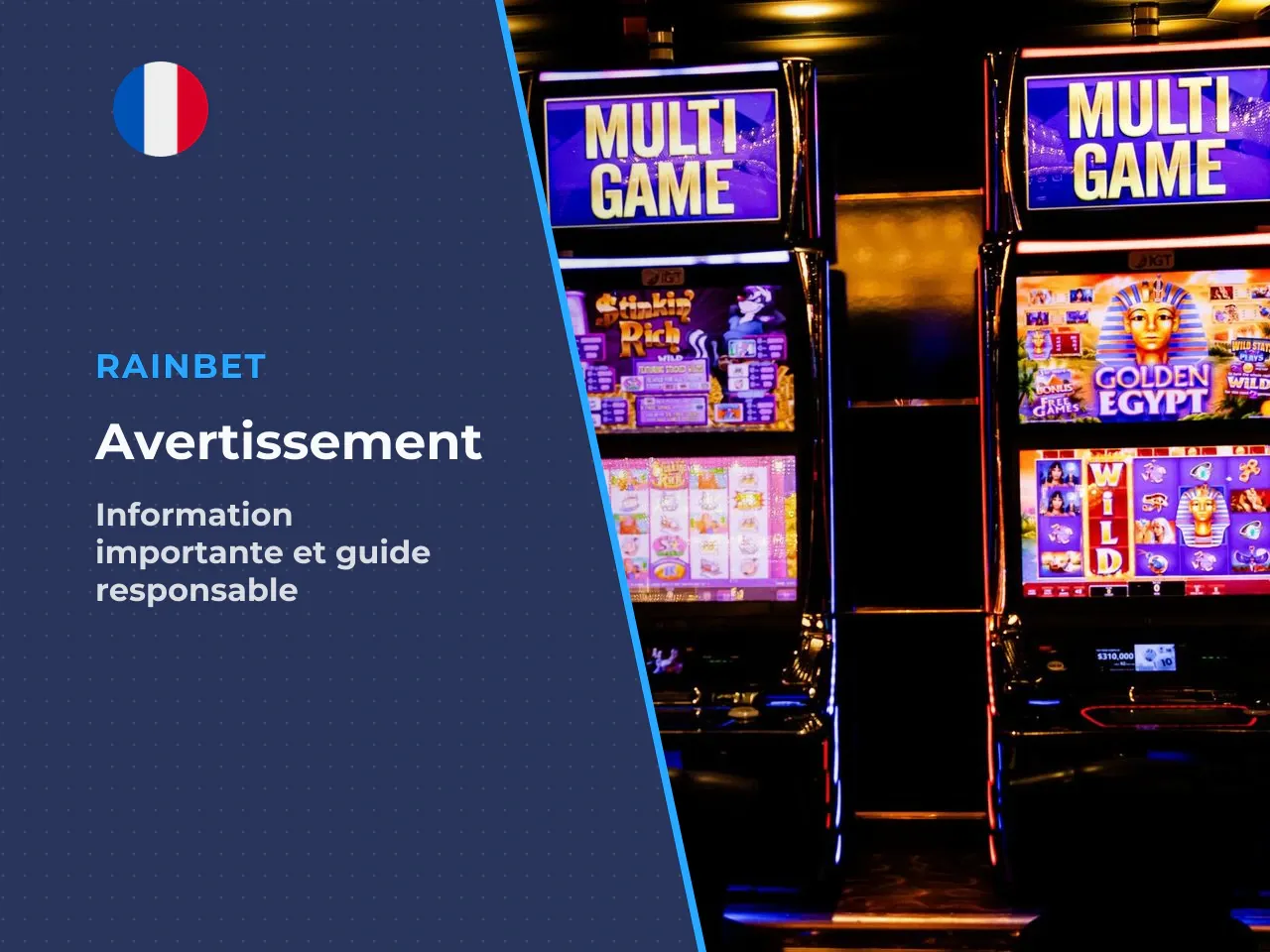 Disclaimer général cet article est un