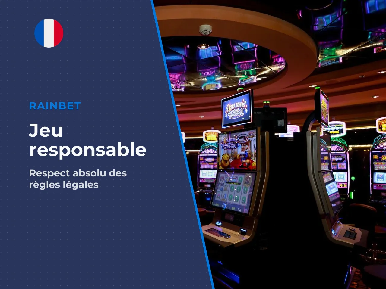 8.3 Lutte contre l'offre illégale. L'ANJ