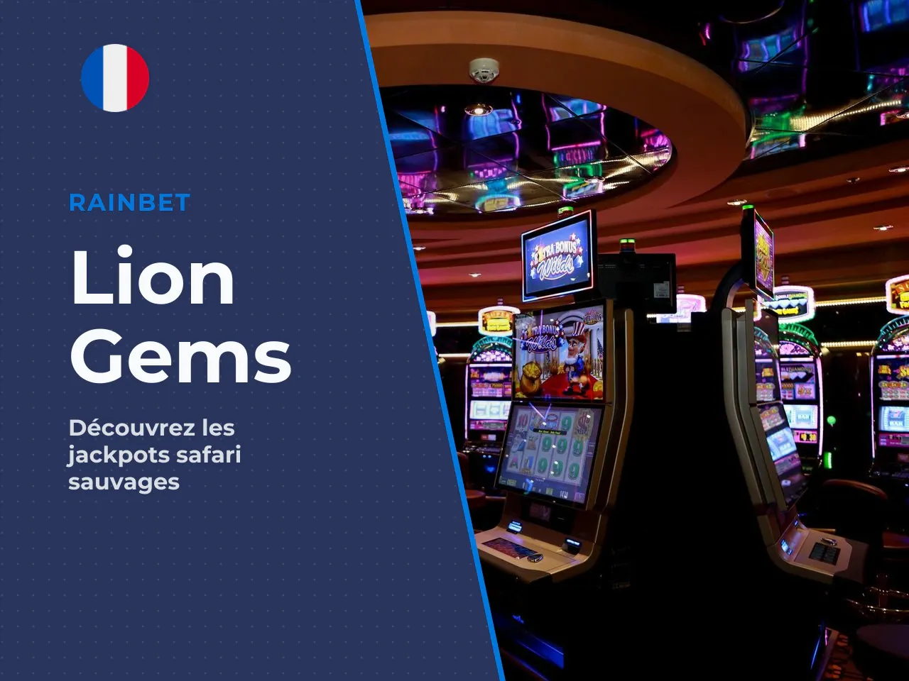 Lion Gems Hold and Win, présentation