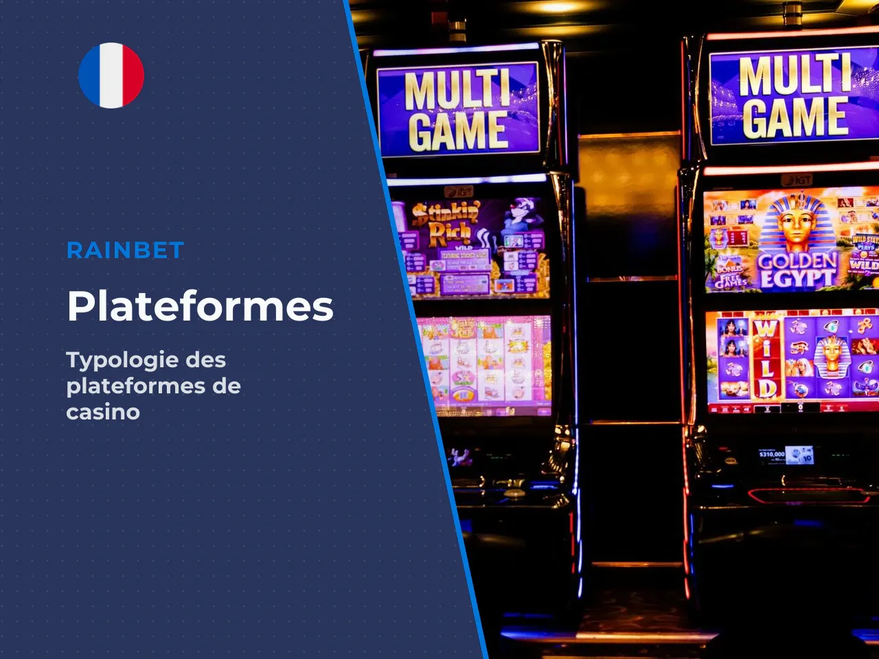 7.1 Typologie des plateformes proposant le
